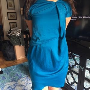 Blue Carven Dress